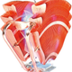 Illustration for article titled Thermaltakes V1 Cooler is Half Artwork, Half Airy Lungs For Your CPU